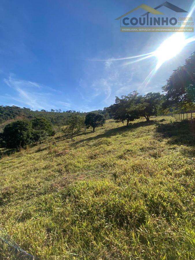 WhatsApp Image 2025-06-16 at 10.57.35 (1).jpeg